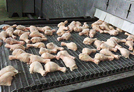 冷凍食品機械加工批發(fā)案例