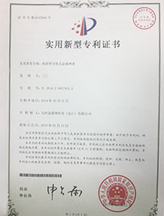 改進型力骨式金屬網帶專利