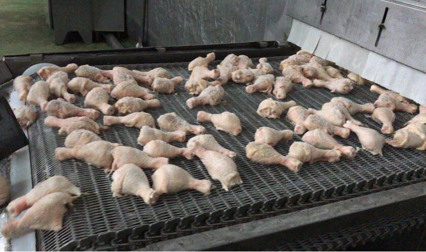 食品網帶 食品網帶